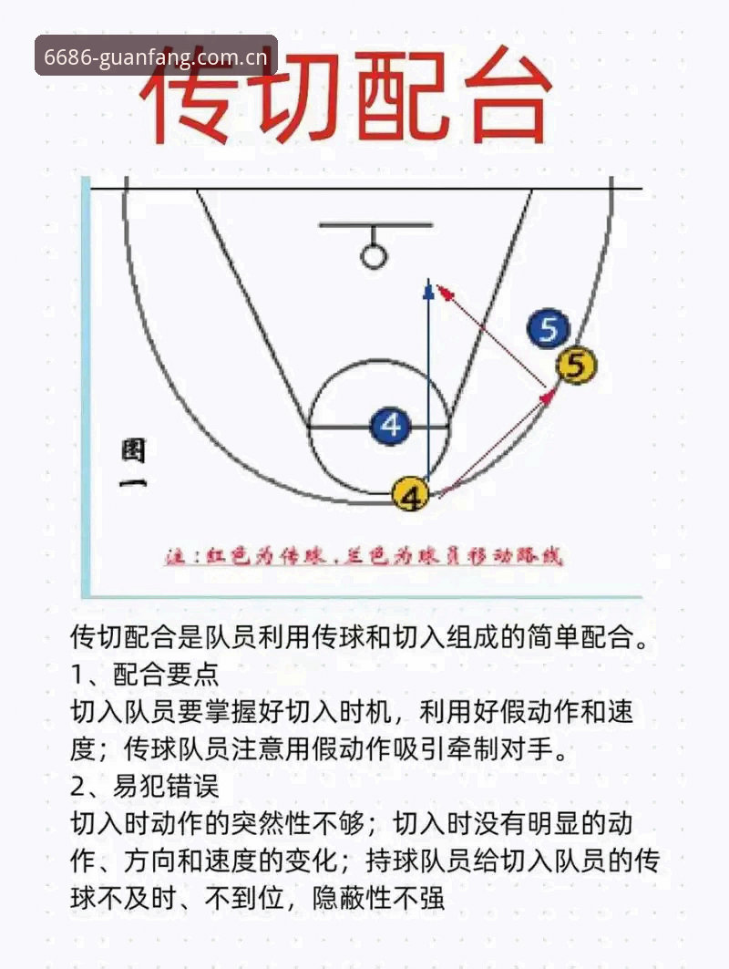 6686体育平台实战指南：掌握投注平台核心操作与必备技巧